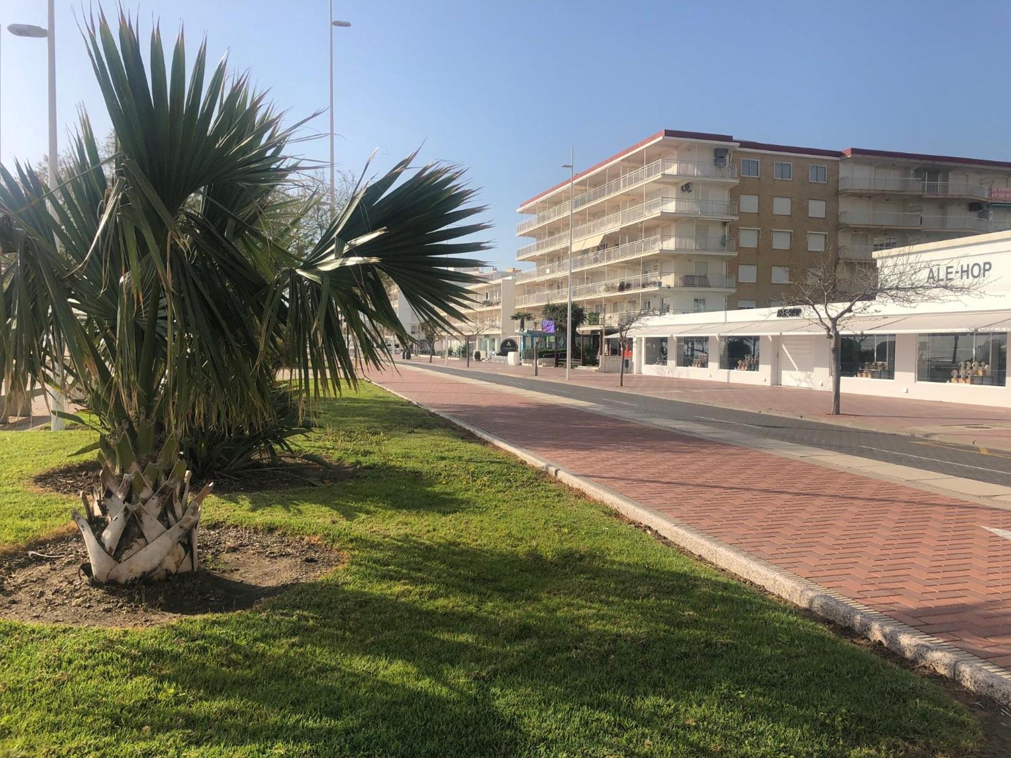 Ferienwohnung Playa De Gandia 1Ere Ligne El Galeon Exterior foto
